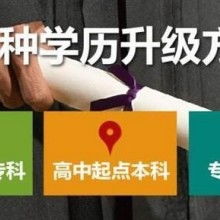 成都市金牌思維教育咨詢有限責任公司 專業教育咨詢，點亮成長之路