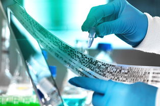 2019年，教育咨詢服務公司經營范圍的“黃金寫法”，讓你賺翻的秘訣